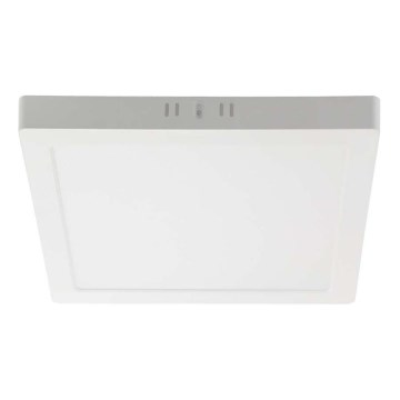 LED Stropna svjetiljka LED/6W/230V 6500K 12x12 cm bijela