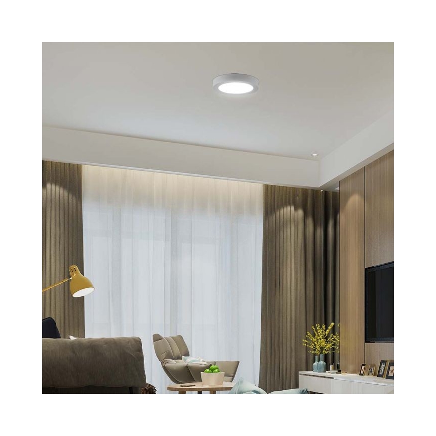 LED Stropna svjetiljka LED/6W/230V 6500K bijela