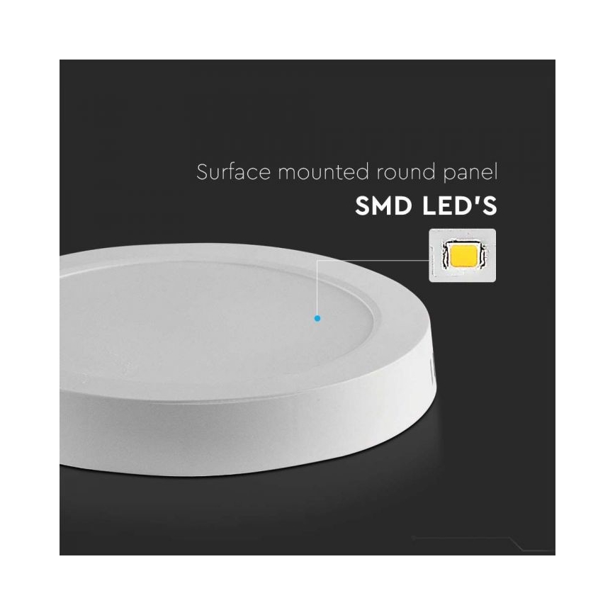 LED Stropna svjetiljka LED/6W/230V 6500K bijela