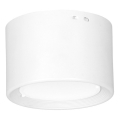 LED Stropna svjetiljka LED/6W/230V bijela pr. 8 cm