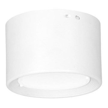LED Stropna svjetiljka LED/6W/230V bijela pr. 8 cm