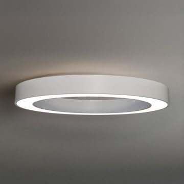 LED stropna svjetiljka LED/80W/230V 3000/4000/6500K Ø 80 cm bijela