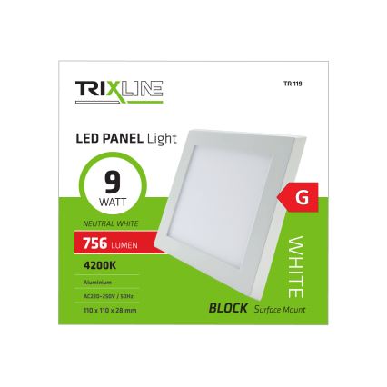 LED Stropna svjetiljka LED/9W/230V 4200K