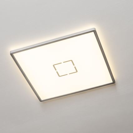 LED stropna svjetiljka LENNA LED/22W/230V 4000K