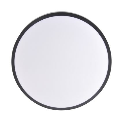LED stropna svjetiljka LIBRA LED/15W/230V 4000K Ø29 cm crna
