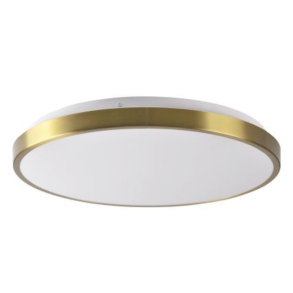 LED stropna svjetiljka LIBRA LED/24W/230V 4000K prom. 39 cm zlatna