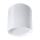 LED Stropna svjetiljka MERKURY 1xLED/12W/230V