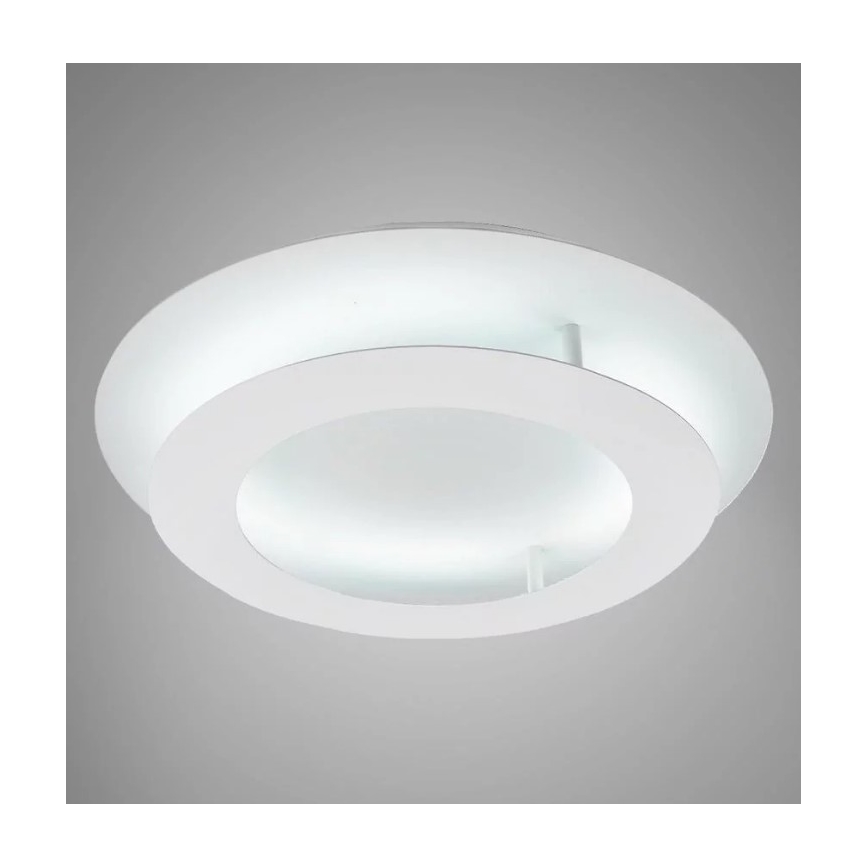 LED Stropna svjetiljka MERLE LED/18W/230V
