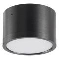 LED Stropna svjetiljka MIRELLA 1xGX53/6W/230V crna