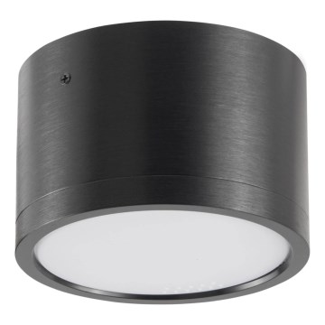 LED Stropna svjetiljka MIRELLA 1xGX53/6W/230V crna