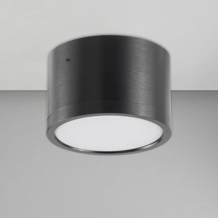 LED Stropna svjetiljka MIRELLA 1xGX53/6W/230V crna