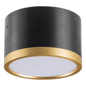 LED Stropna svjetiljka MIRELLA 1xGX53/6W/230V crna/zlatna