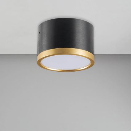 LED Stropna svjetiljka MIRELLA 1xGX53/6W/230V crna/zlatna