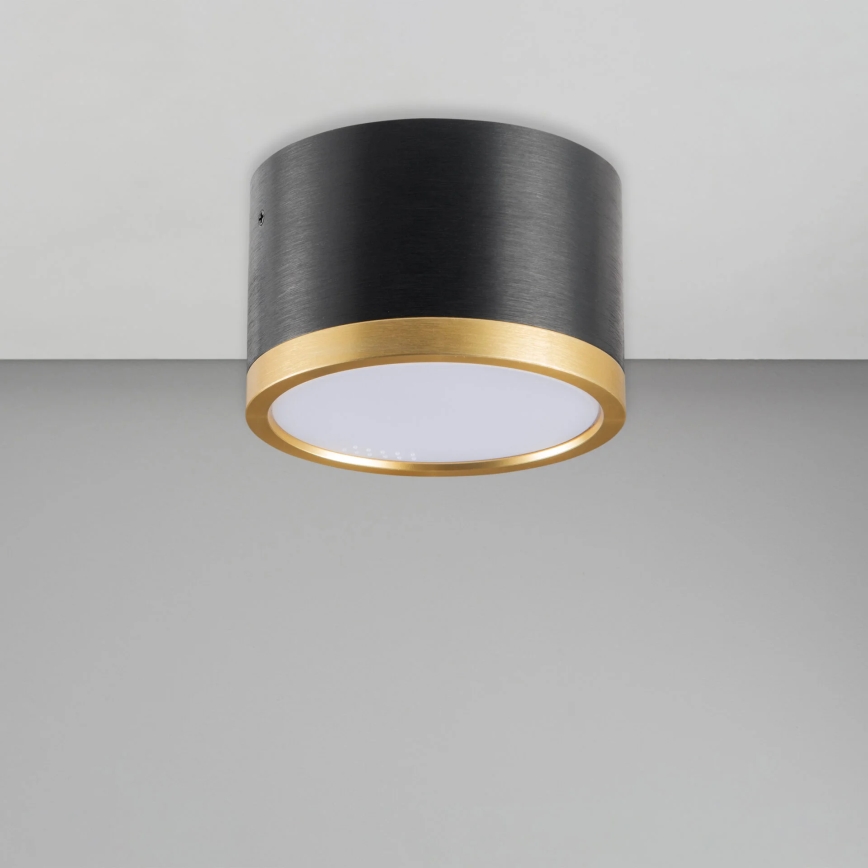 LED Stropna svjetiljka MIRELLA 1xGX53/6W/230V crna/zlatna
