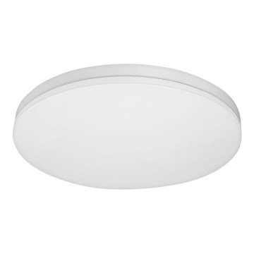 LED Stropna svjetiljka MONY LED/26W/230V 3000K