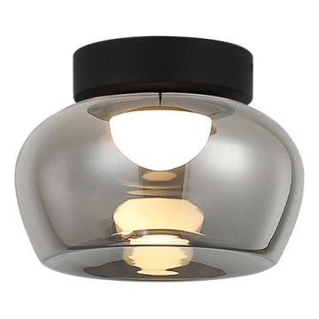 LED stropna svjetiljka NADIA LED/9W/230V Ø 16 cm zadimljena/crna