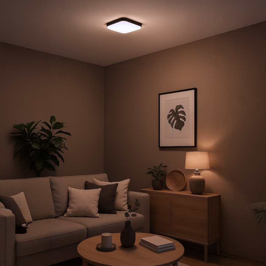 LED stropna svjetiljka NEMO LED/11W/230V 26x26 cm crna