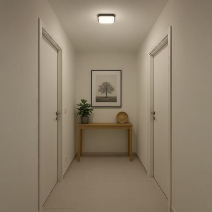 LED stropna svjetiljka NEMO LED/11W/230V 26x26 cm crna