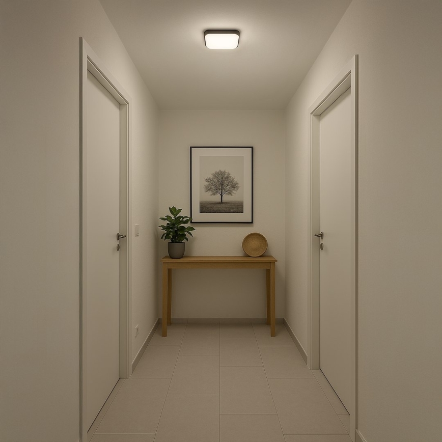 LED stropna svjetiljka NEMO LED/11W/230V 26x26 cm crna