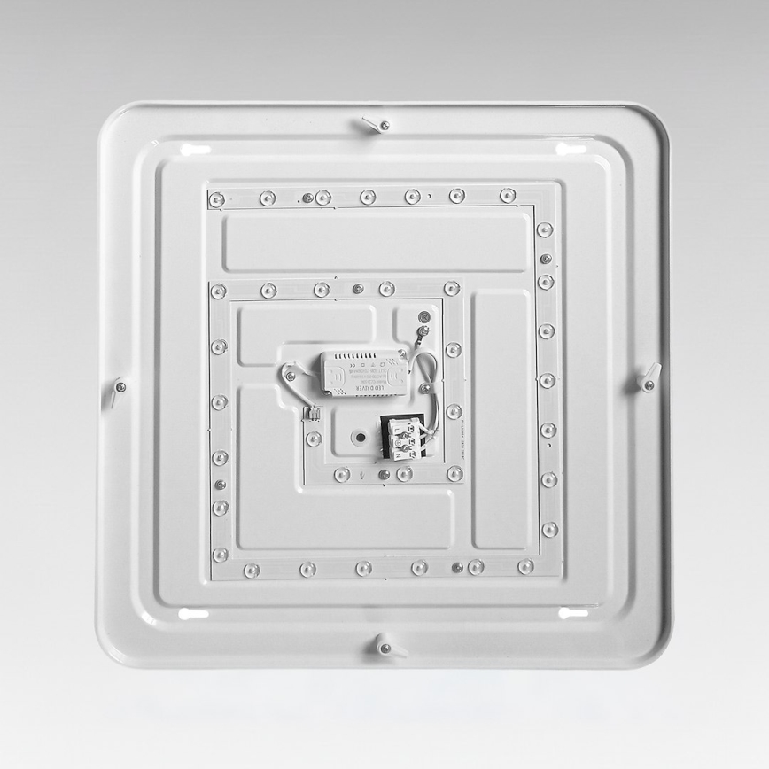 LED stropna svjetiljka NEMO LED/36W/230V 50x50 cm sjajni krom