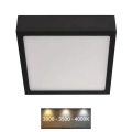 LED Stropna svjetiljka NEXXO LED/12,5W/230V 3000/3500/4000K 17x17 cm crna