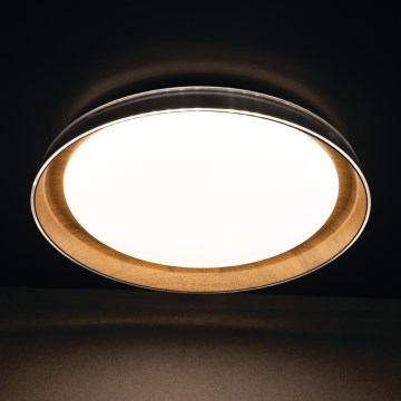 LED Stropna svjetiljka NIFU LED/17,8W/230V pr. 43 cm bijela/smeđa