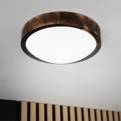 LED stropna svjetiljka OAK SLIM LED/20W/230V 4000K Ø 27 cm hrast/tamno smeđa