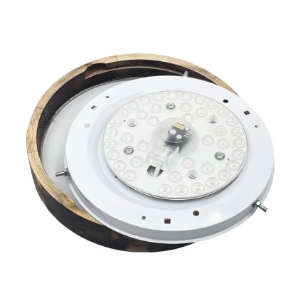 LED stropna svjetiljka OAK SLIM LED/20W/230V 4000K Ø 27 cm hrast/tamno smeđa