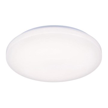 LED Stropna svjetiljka OPAL LED/50W/176-264V