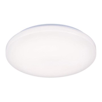 LED Stropna svjetiljka OPAL LED/50W/176-264V