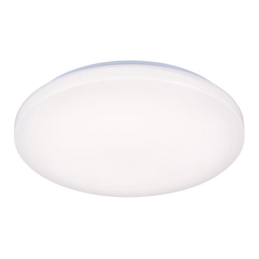 LED Stropna svjetiljka OPAL LED/50W/176-264V