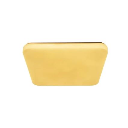 LED Dimmabilno stropno svjetlo OPAL LED/60W/230V 3000-6500K + daljinski upravljač