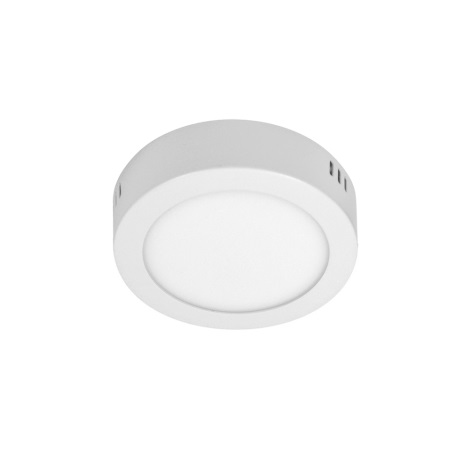 LED Stropna svjetiljka ORTO NT 1xLED/6W/230V 4000K 11,3 cm