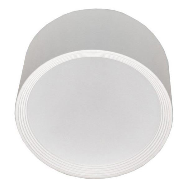 LED Stropna svjetiljka PERCI LED/30W/230V IP40 4000K bijela