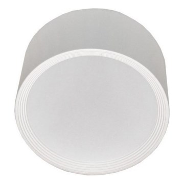 LED Stropna svjetiljka PERCI LED/30W/230V IP40 4000K bijela