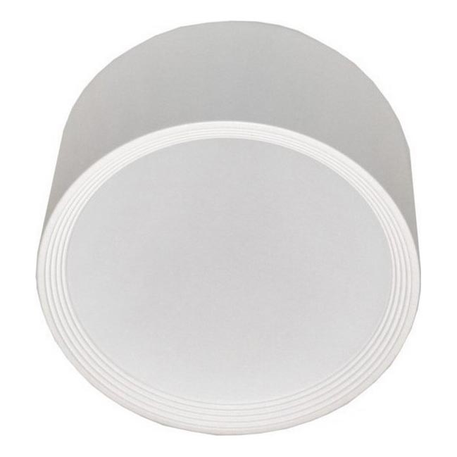 LED Stropna svjetiljka PERCI LED/30W/230V IP40 4000K bijela