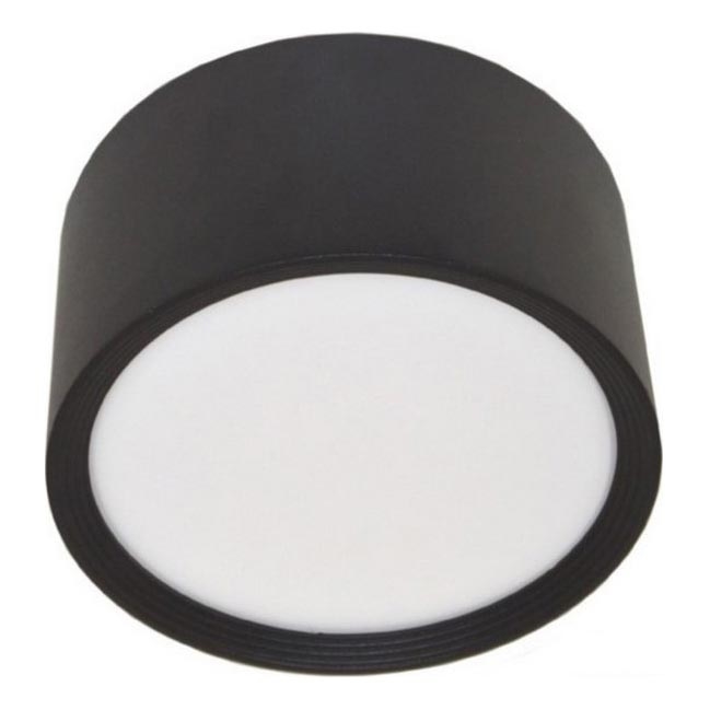 LED Stropna svjetiljka PERCI LED/30W/230V IP40 4000K crna