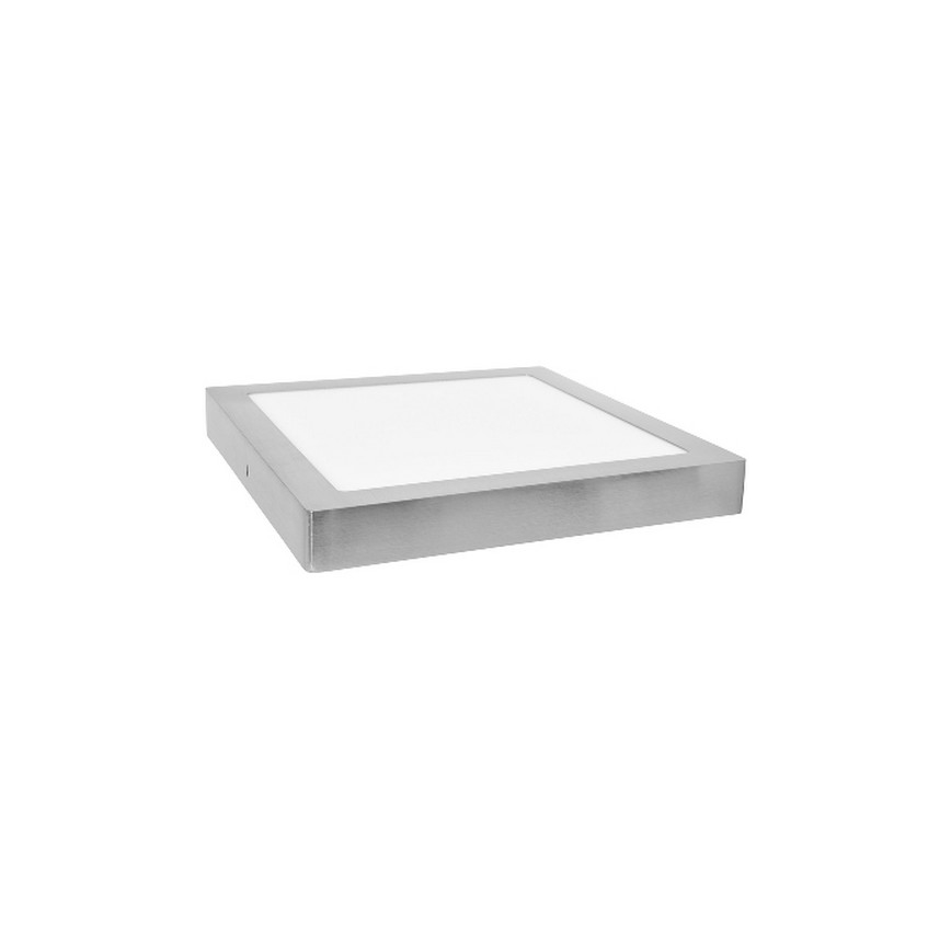 LED Stropna svjetiljka RAFA LED/12W/230V 2700K