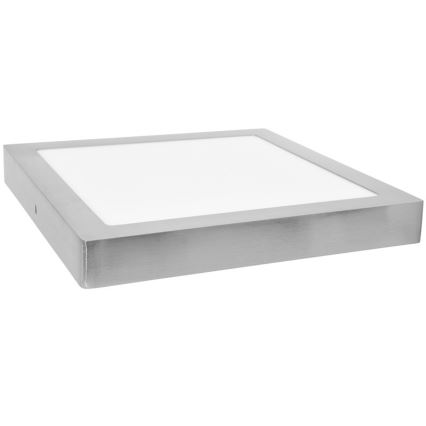 LED Stropna svjetiljka RAFA LED/12W/230V 4100K