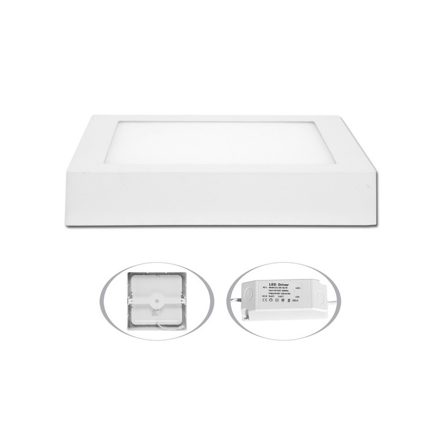 LED Stropna svjetiljka RAFA LED/25W/230V 2700K