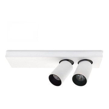 LED Stropna svjetiljka/reflektor BERGEN 2xLED/11W/230V