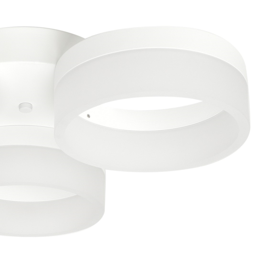 LED Stropna svjetiljka RING 3xLED/12W/230V bijela