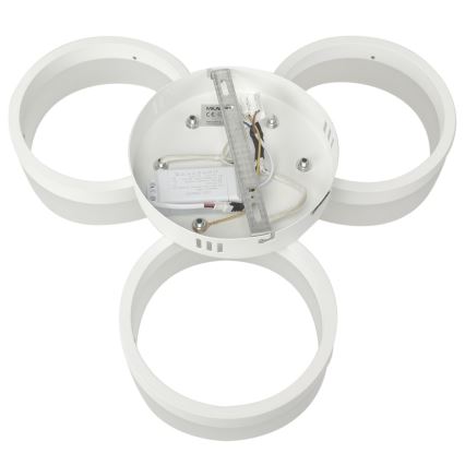 LED Stropna svjetiljka RING 3xLED/12W/230V bijela