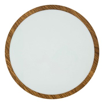 LED Stropna svjetiljka RING LED/24W/230V 4200K pr. 28,5 cm smeđa