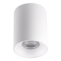 LED Stropna svjetiljka RITI 1xGU10/25W/230V bijela