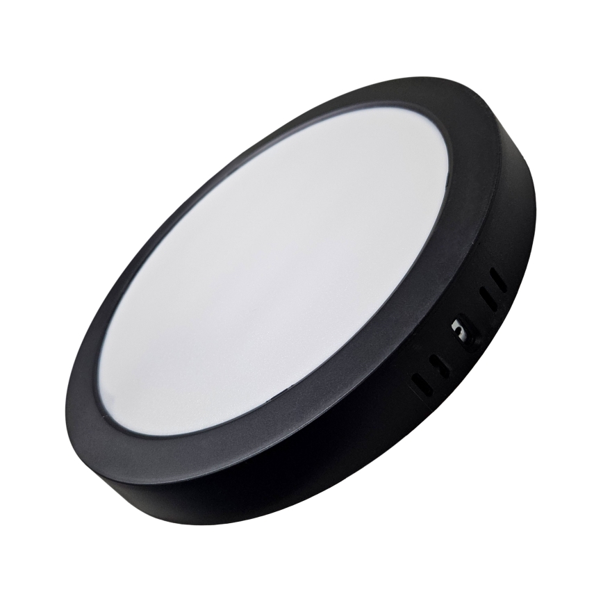 LED Stropna svjetiljka ROUND LED/24W/230V 4000K pr. 28,8 cm crna