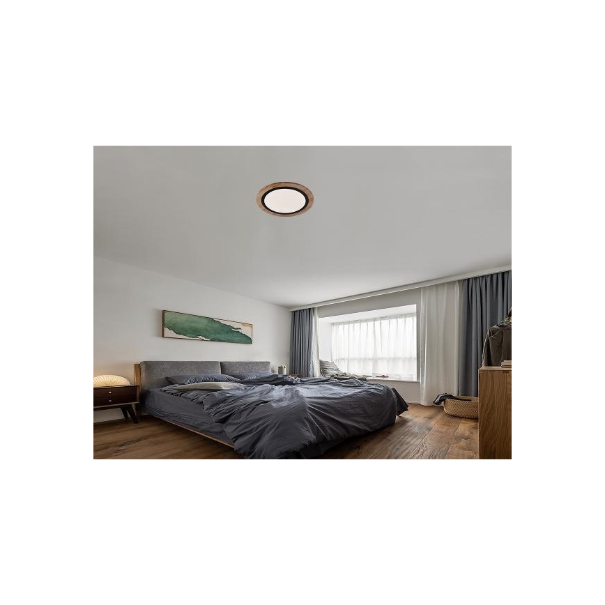 LED stropna svjetiljka s mogućnošću prigušivanja LED/25W/230V 3000-6500K + daljinski upravljač