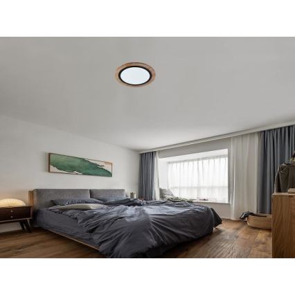 LED stropna svjetiljka s mogućnošću prigušivanja LED/25W/230V 3000-6500K + daljinski upravljač