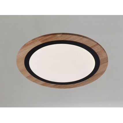LED stropna svjetiljka s mogućnošću prigušivanja LED/25W/230V 3000-6500K + daljinski upravljač