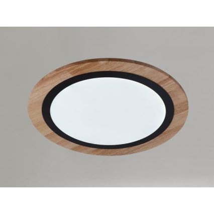 LED stropna svjetiljka s mogućnošću prigušivanja LED/25W/230V 3000-6500K + daljinski upravljač